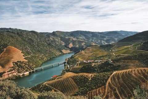 Landscape of Douro Valley - View Caves Messias Vineyards