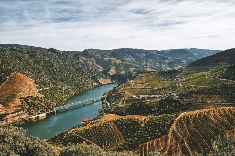 Landscape of Douro Valley - View Caves Messias Vineyards
