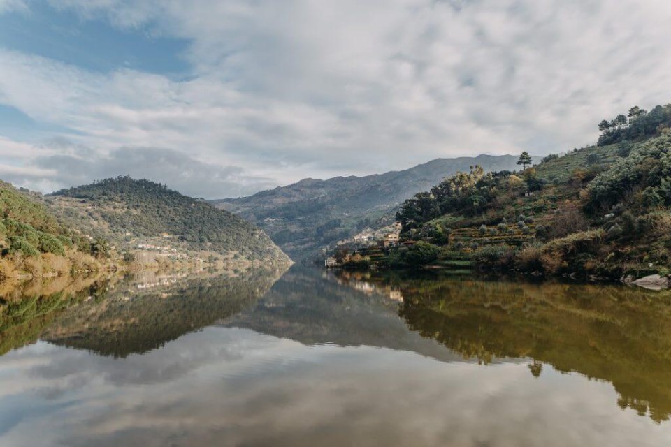 Douro River Landscape - Wine Region Portugal