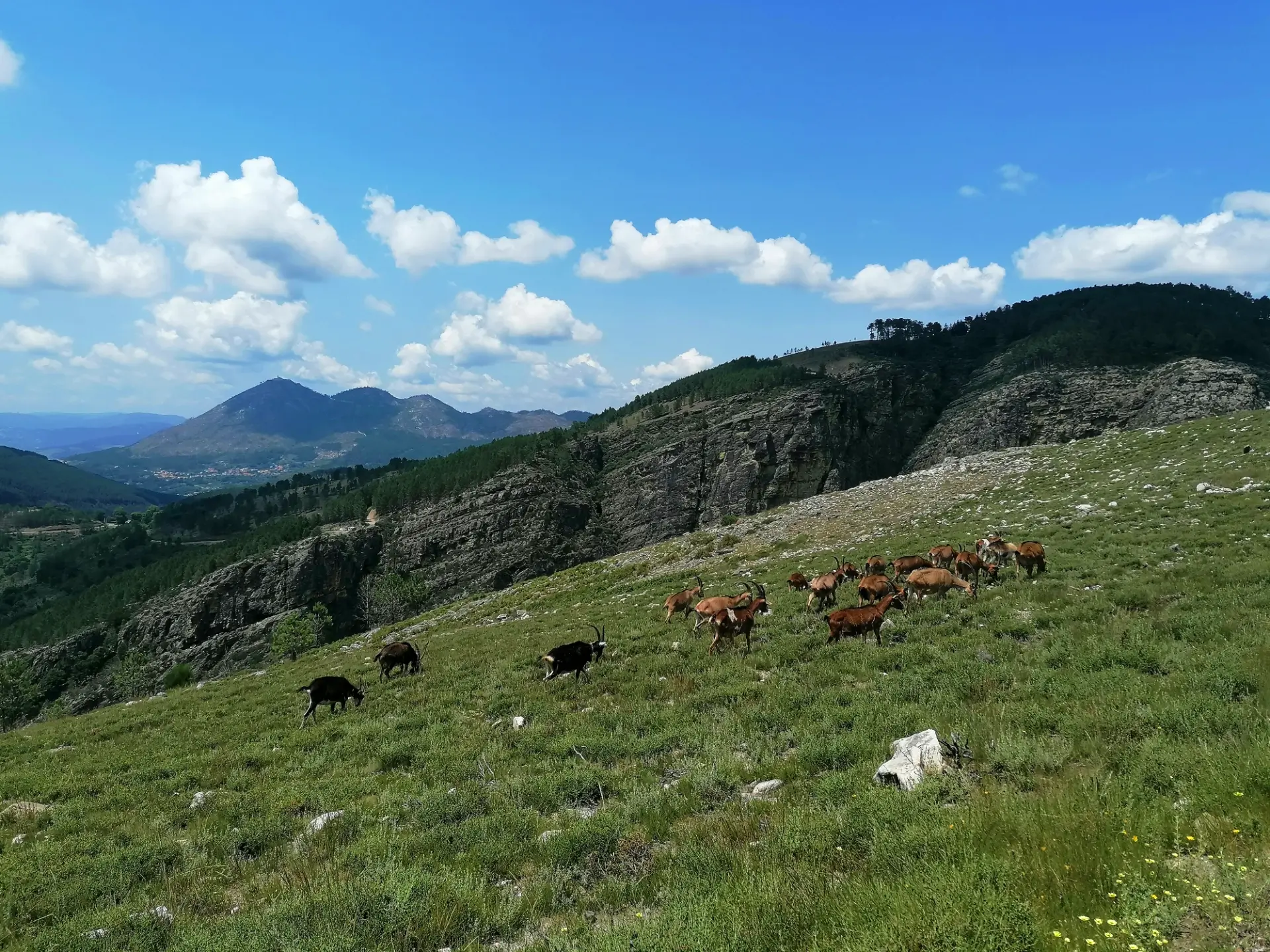 Paysage Serra do Alvão dans le Nord