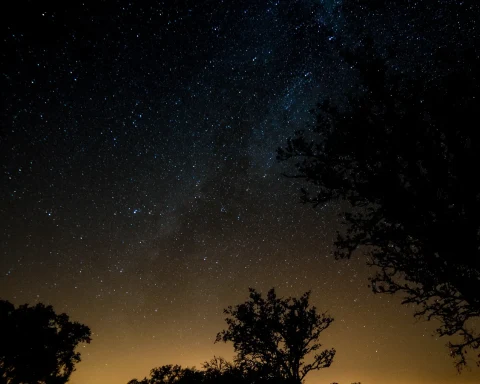 Nuit parc naturel sud ouest portugal