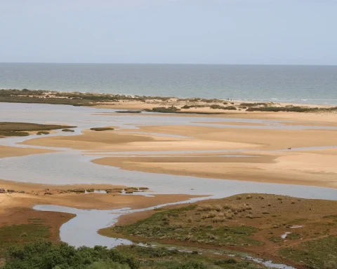 Landscape - Ria Formosa Natural Park Algarve