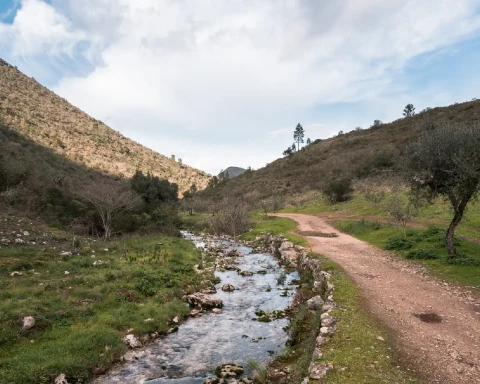 Chemin Parc Naturel des Serras de Aire e Candeeiros
