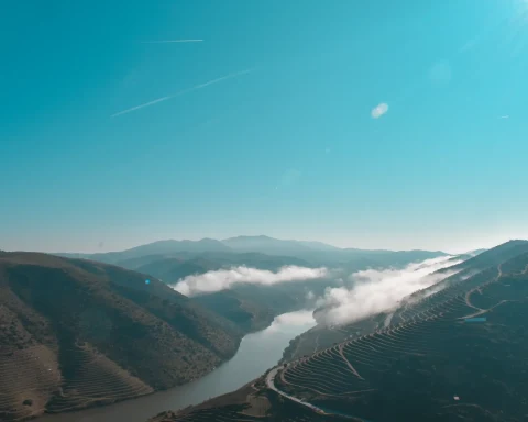 Landscape Douro International Natural Park
