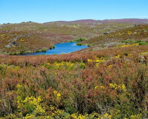 Montesinho Natural Park Landscape Lake