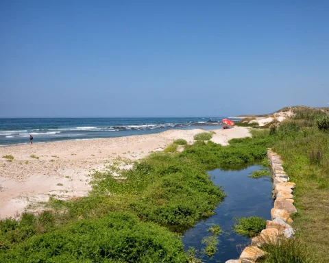 North Coast Natural Park Beach
