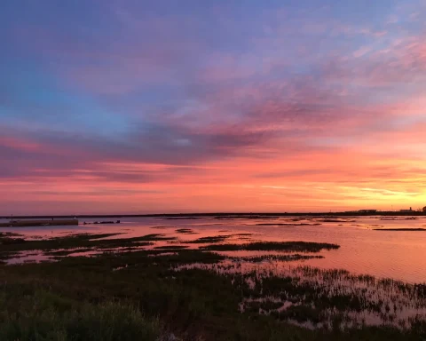 Paysage Plage Parc Naturel de la Ria Formosa