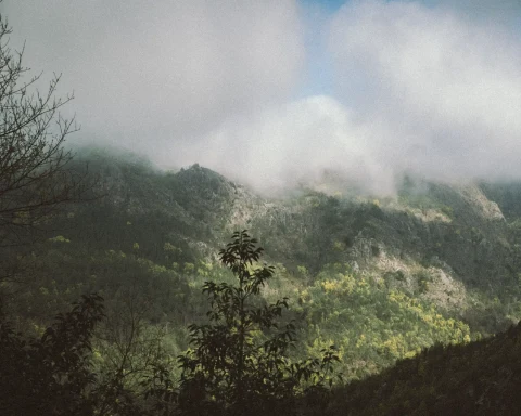 Landscape peneda gerês natural park