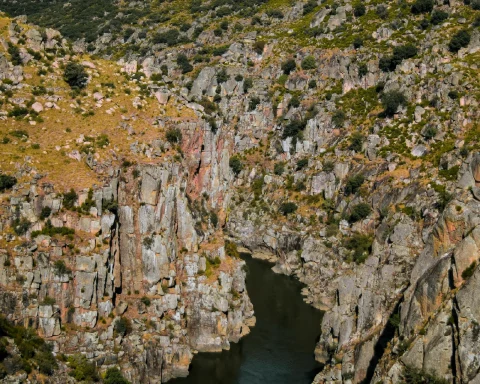 Vallée du Douro Parc naturel Douro International