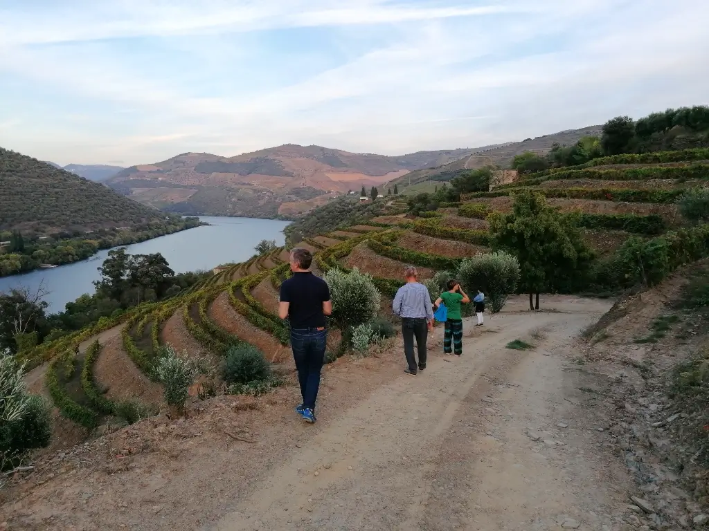 Gens se promenant dans un vignoble de la vallée du Douro