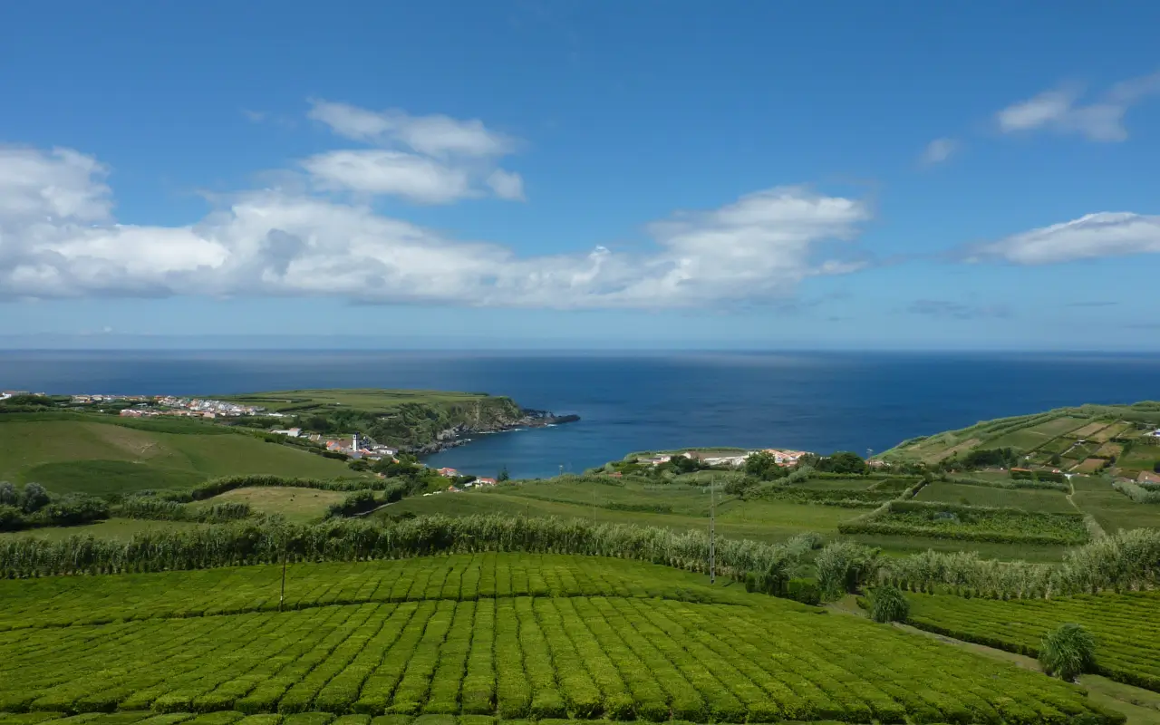 Paisagem sobre os campos da Ilha de São Miguel