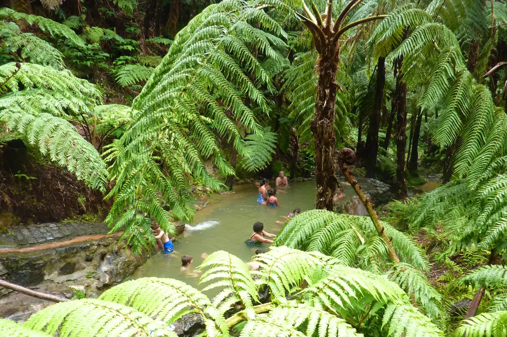 Personnes se baignant dans les piscines thermales de l’île de São Miguel
