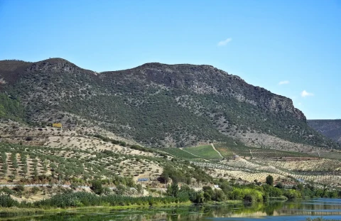 Vista de Barca D'alva