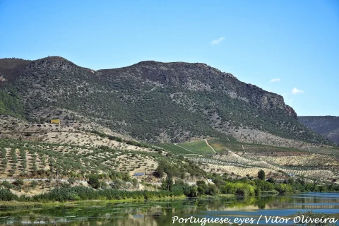 Hill around Barca d'Alva