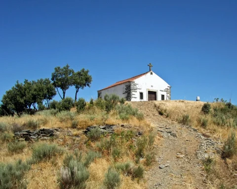 église de provesende