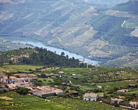 paysage autour provesende