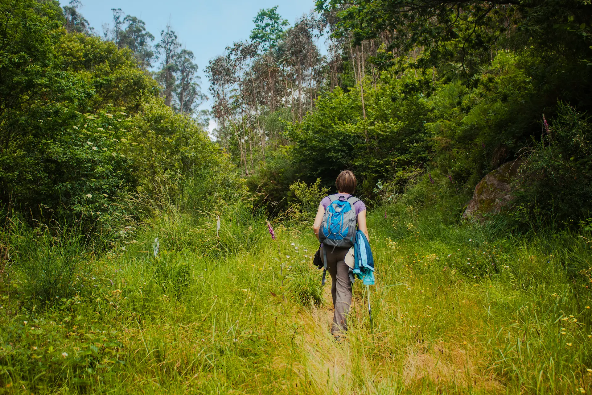 Randonnée dans les montagnes des régions du Portugal
