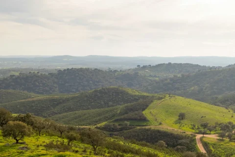 Randonner dans les plaines de Portel, Alentejo, une des régions du Portugal