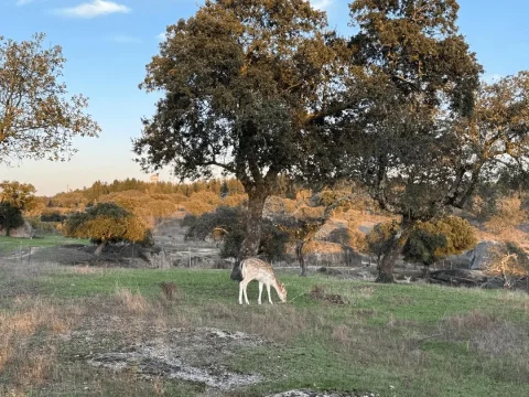 turismo-sustentavel-portugal-soprasi05