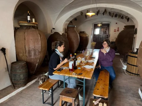 turismo-sustentavel-portugal-soprasi_vinhodatalha